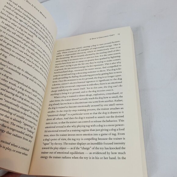 Your Dog is Your Mirror By Kevin Behan Paperback Book - Picture 8 of 9